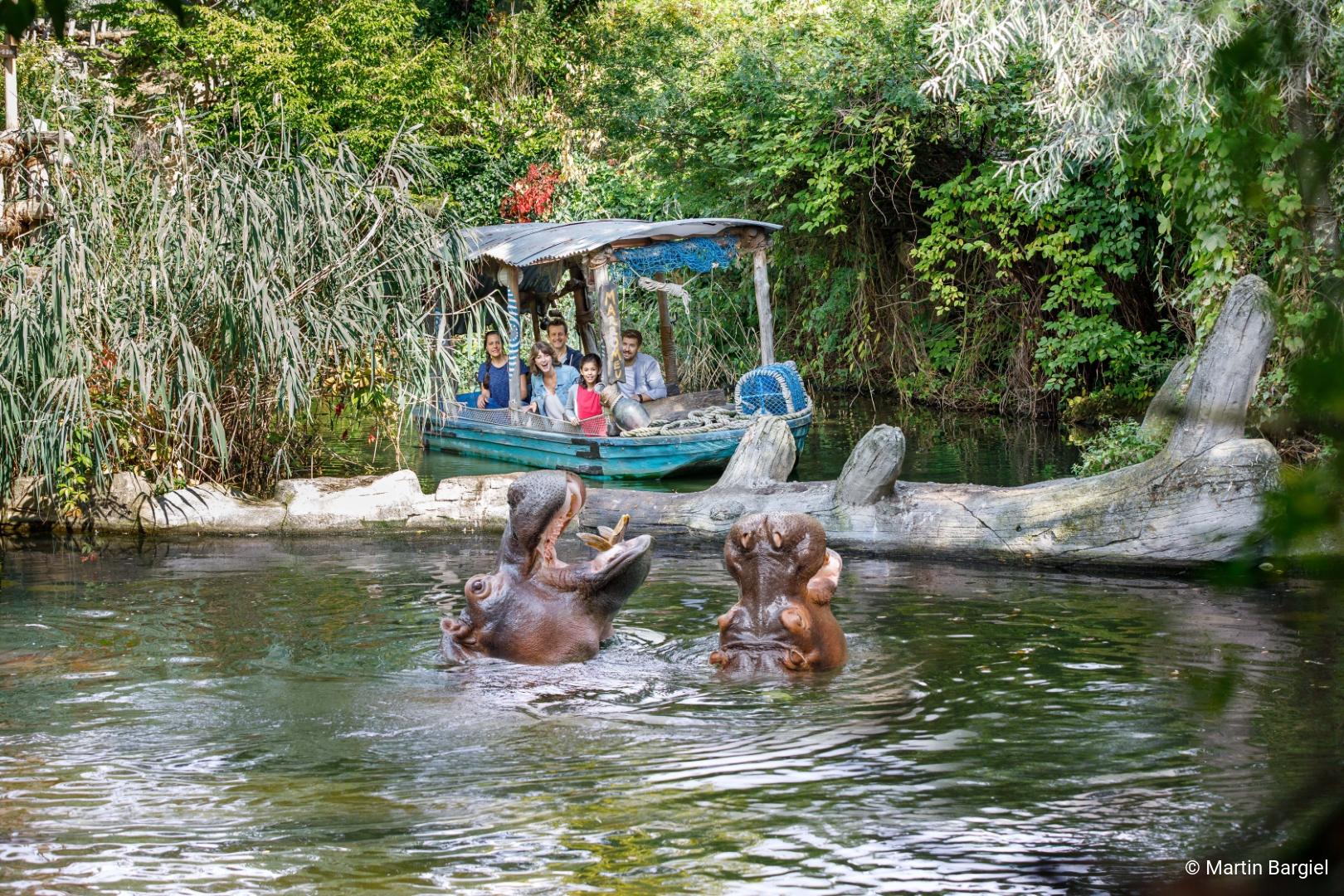 Flusspferd_Bootsfahrt_2022_3c-martin-bargiel