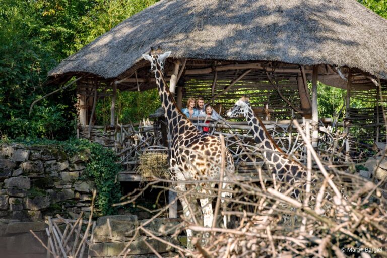 Giraffenlodge_Familie_01_2022_3c-martin-bargiel