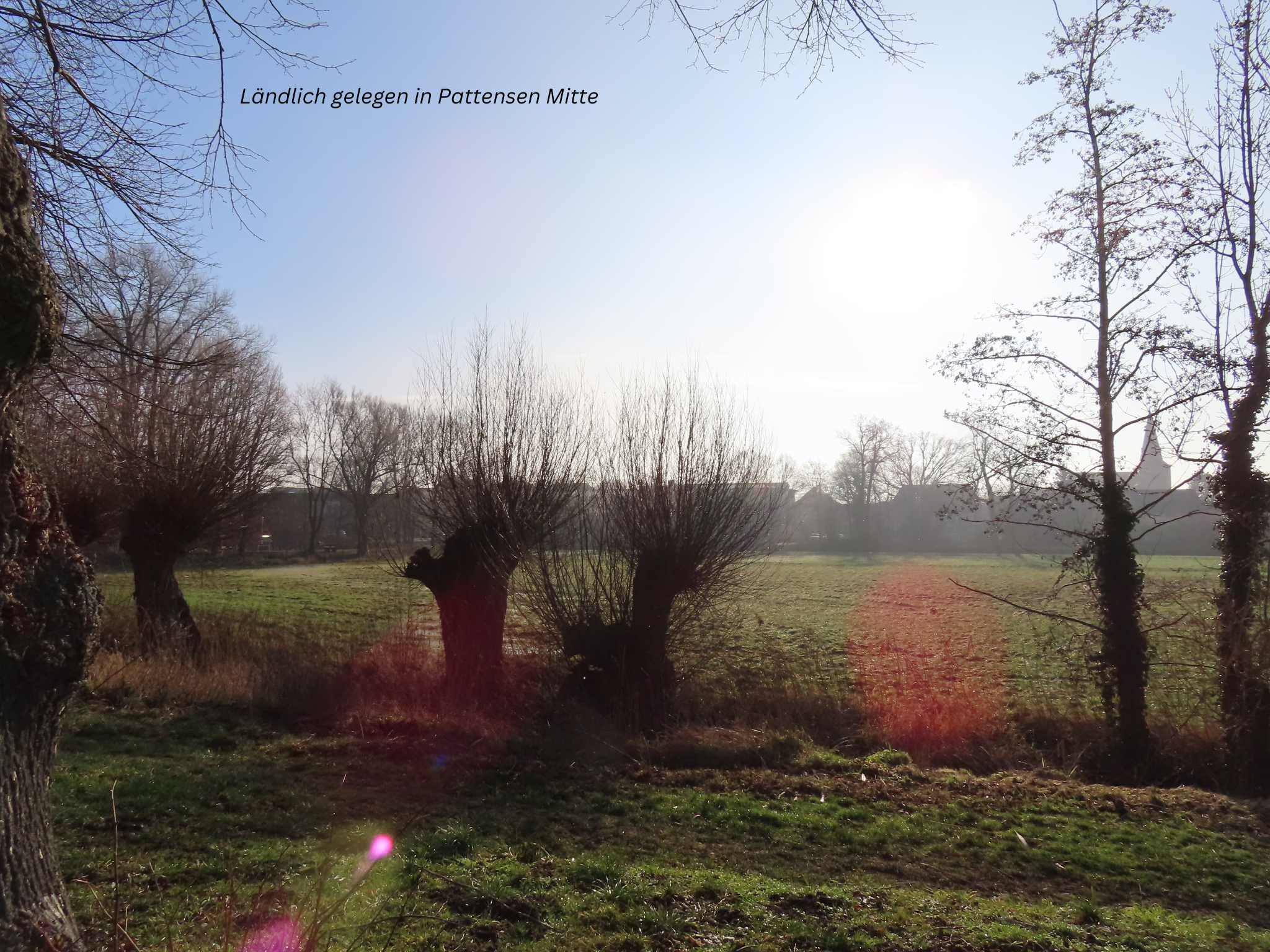 Ländlich gelegen in Pattensen Mitte